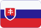 Nákladná cestná doprava Slovensky